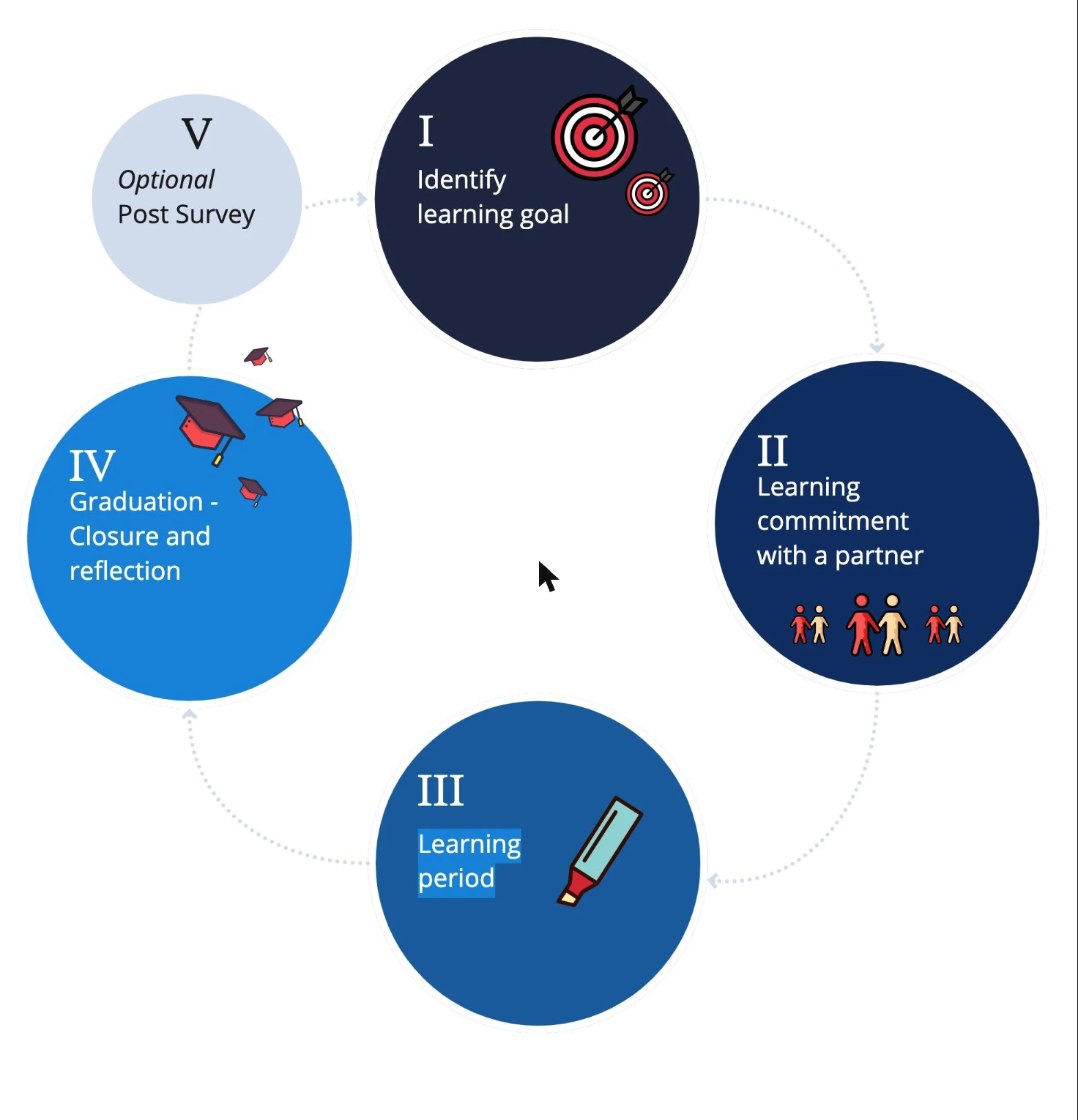 Circular diagram of the five ALTE stages: I Identify learning goal, II Learning commitment with a partner, III Learning period, IV Graduation, closure and reflection, and optional stage V Post Survey