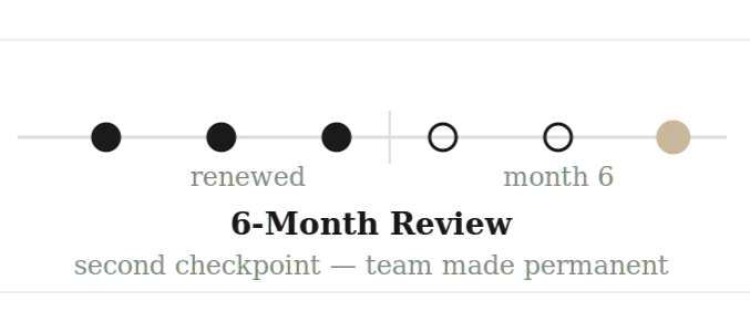 6-month review milestone timeline