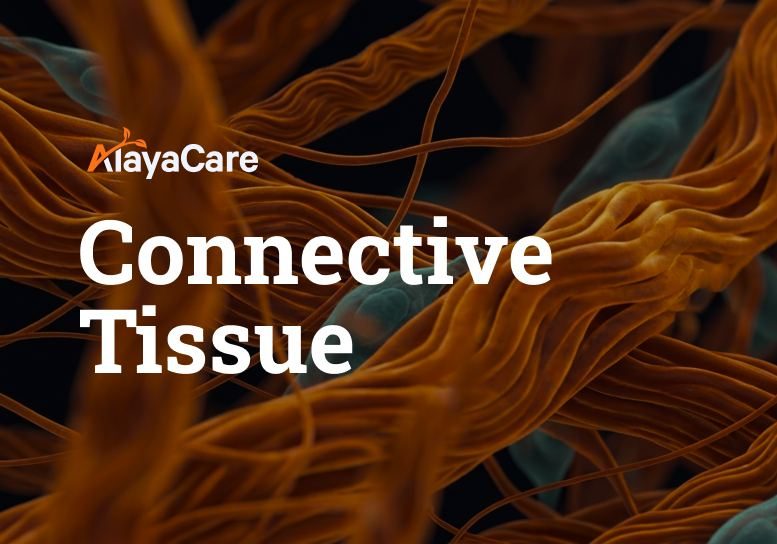 AlayaCare Connective Tissue project cover graphic