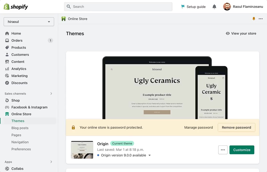 Shopify admin sidebar expanded under Online Store, showing Themes, Blog posts, Pages, Navigation and Preferences